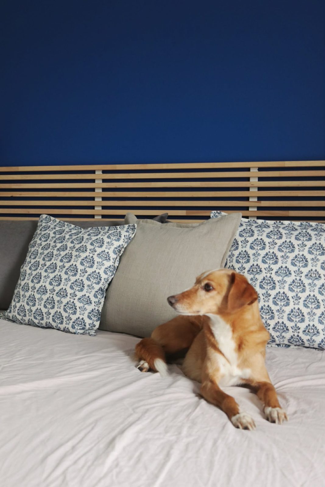 Cushion Cover
